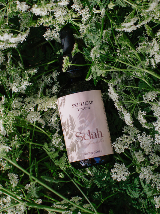 Skullcap Tincture