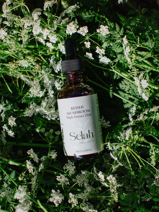 Reishi Mushroom Triple Extract Elixir